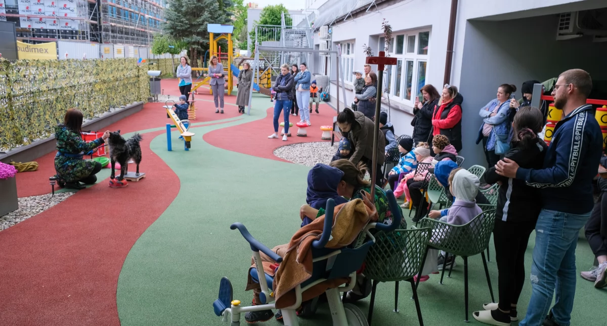 Ciężko chore dzieci a obecność psów: w UDSK ruszyły zajęcia z dogoterapii
