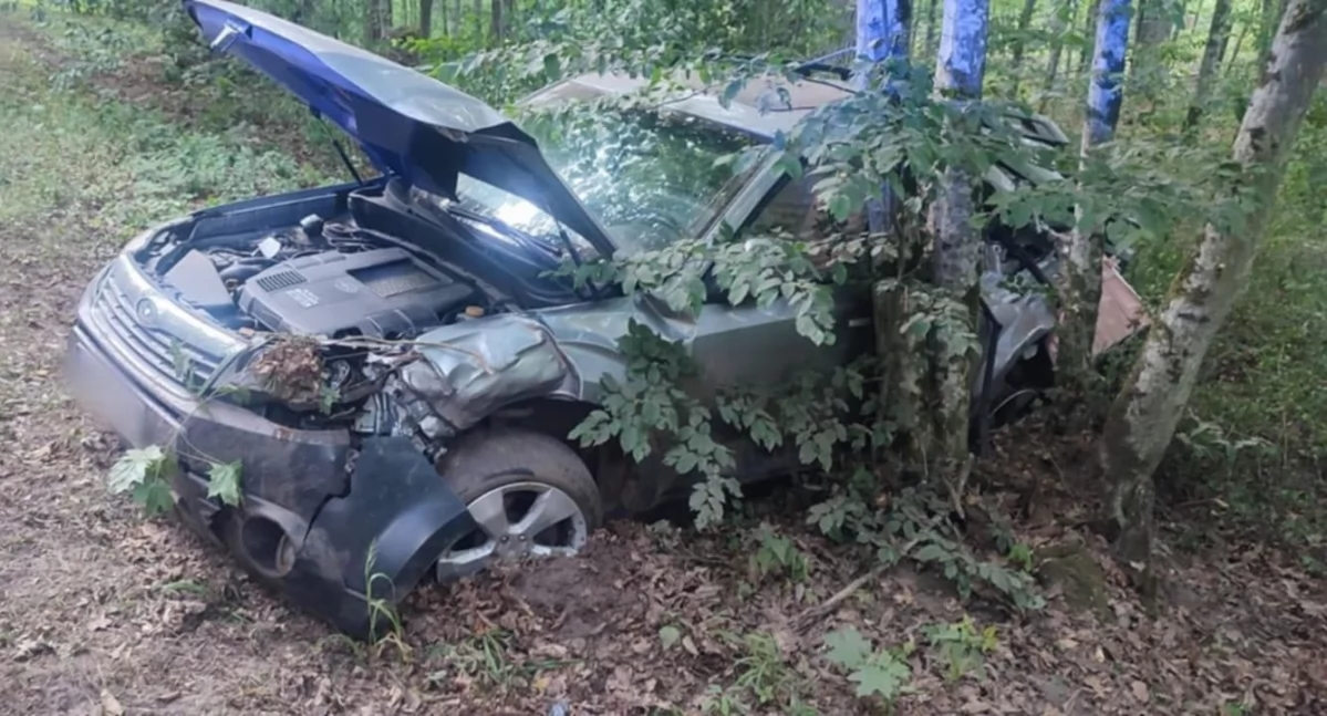 Pijany kierowca wjechał w drzewo na trasie Hajnówka-Białowieża