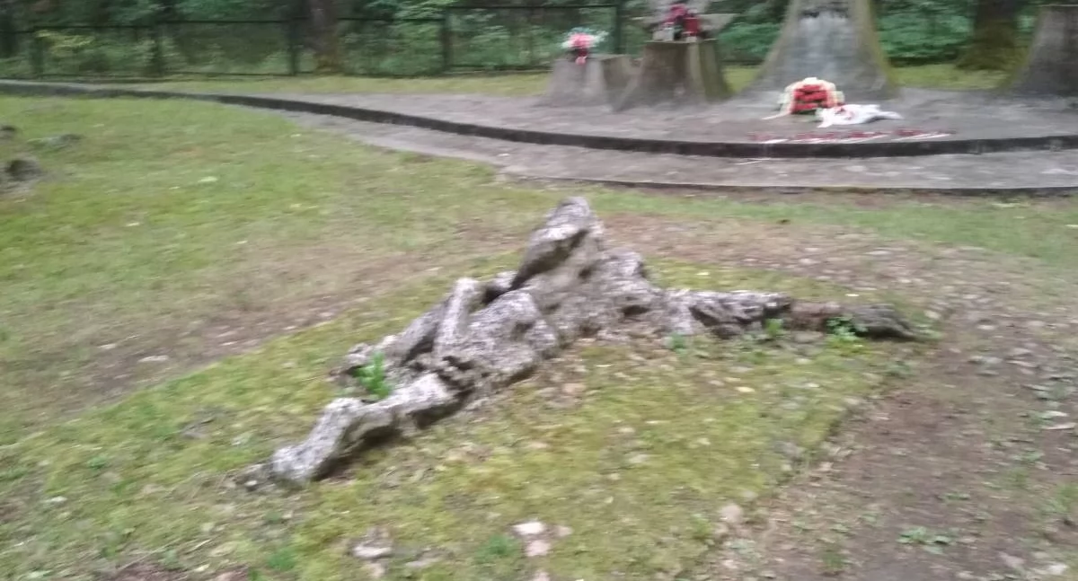 Pamięć o mordach w białostoczan w Bacieczkach. Mija 82. rocznica zapomnianej zbrodni 