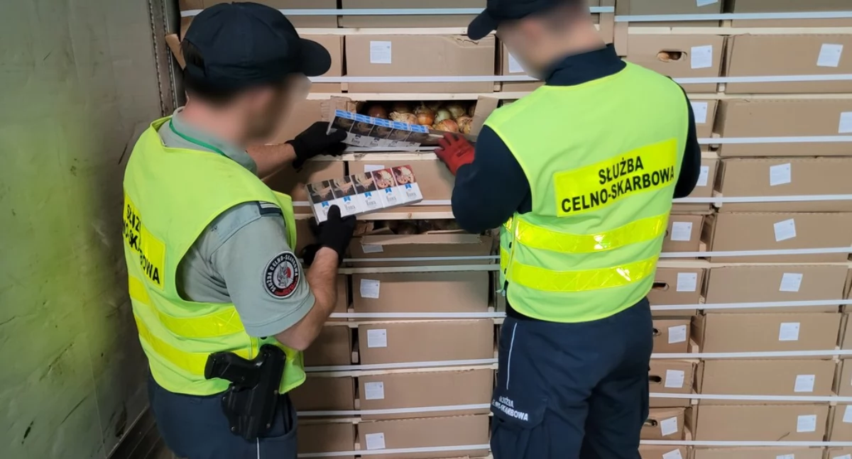 1,5 miliona złotych w papierosach zamiast cebuli. Spektakularny przemyt udaremniony