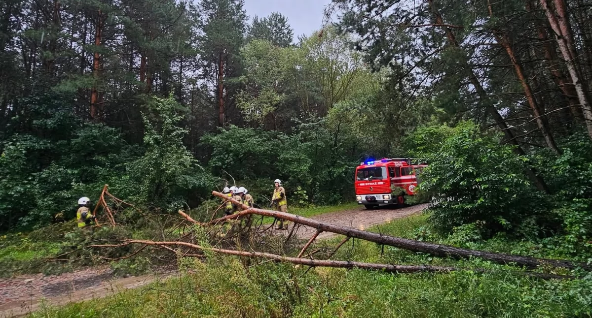 Intensywne opady i silny wiatr: ostrzeżenie meteorologiczne dla podlaskiego!