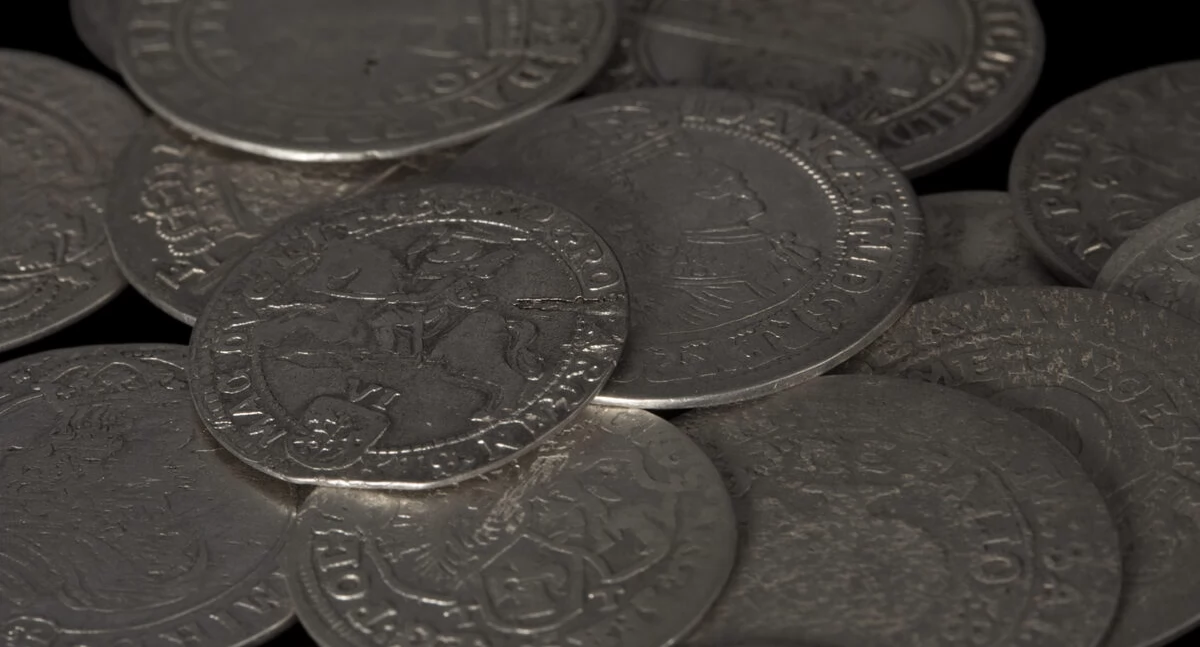 Skarb w Puszczy Knyszyńskiej!. Monety z XVII wieku trafią do Muzeum Podlaskiego (WIDEO)