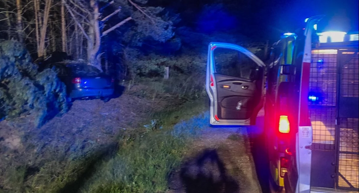 Tragedia na trasie do Białowieży. Samochód uderzył w drzewo, jedna osoba nie żyje