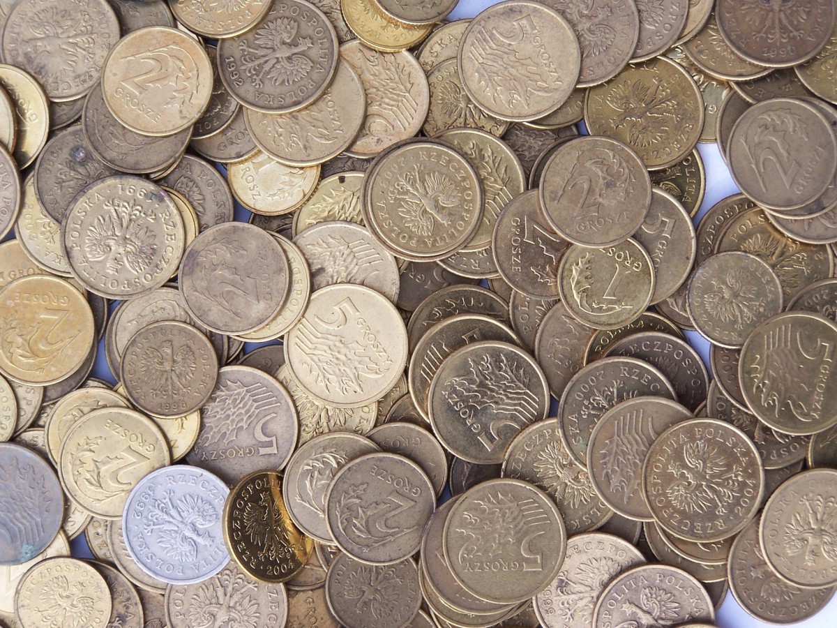 Obywatel Gie Żet: Skąd wziąć pieniądze?
