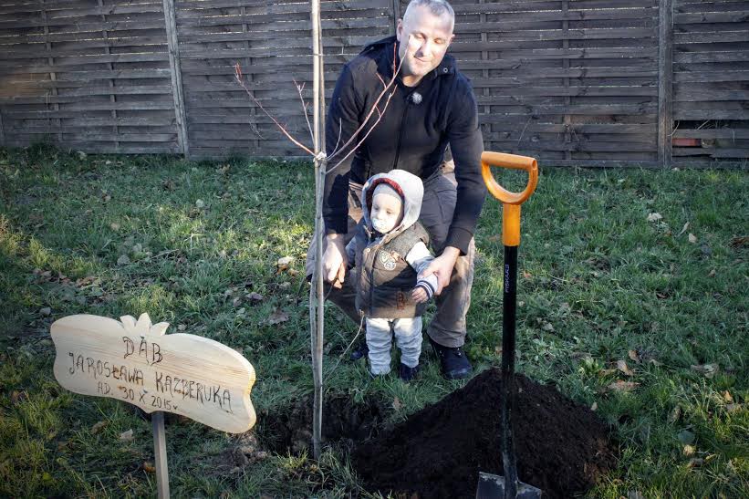 Dąb Jarosława Kazberuka w Kiermusach