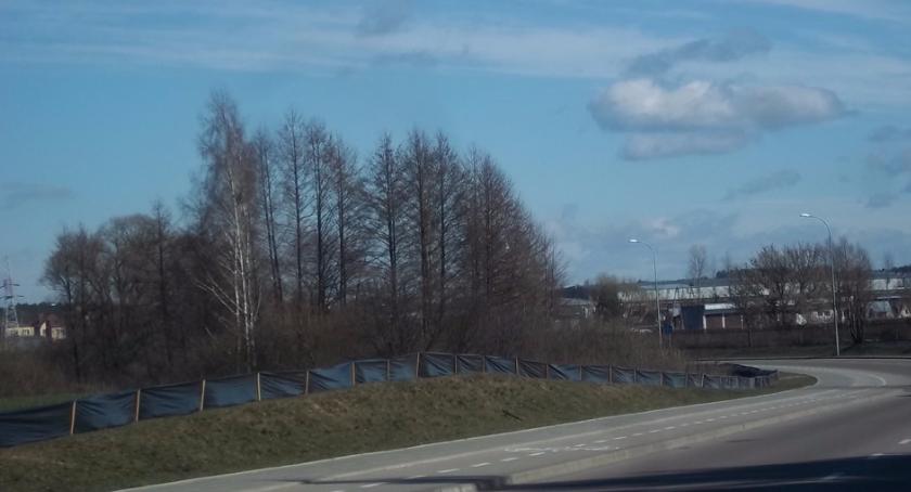 RPO i POWER w bezrobocie. Duże pieniądze na aktywizację są już w powiatach