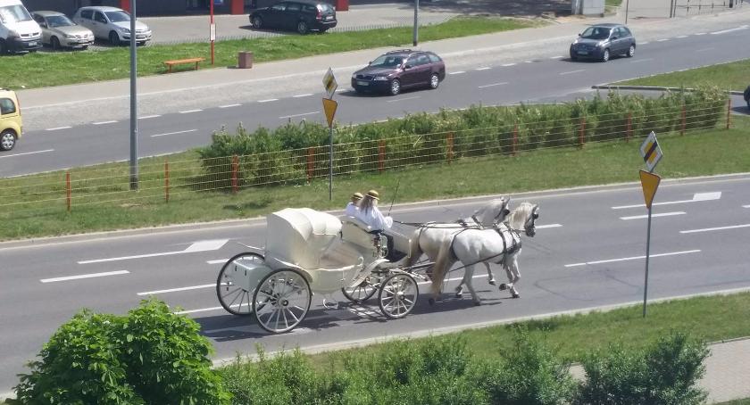 Tak się wozi szlachta po Białymstoku 