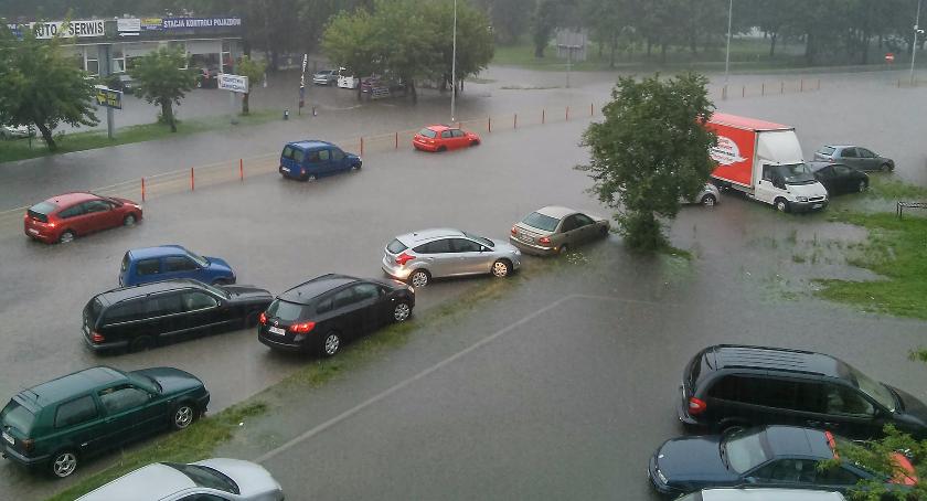 Wierzbowa musi być zalewana, bo tak lepiej