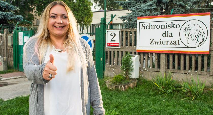 Schronisko dla zwierząt działa jak trzeba [KOMENTARZ VIDEO]