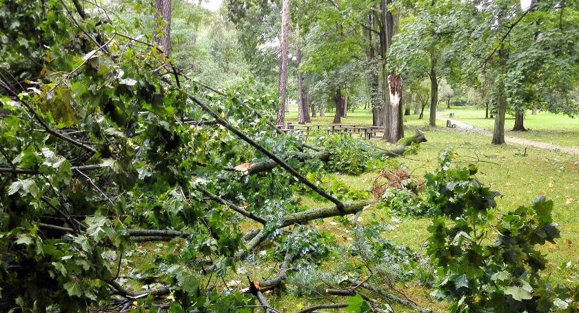 Co prawda nie była to Irma, ale… 