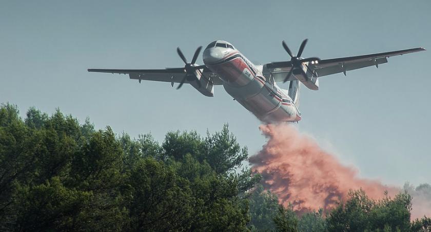 Taka gmina: Kraina bez skrzydeł czyli kraina nielotów