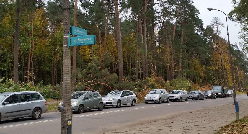 Na Nowym Mieście rozpoczęła się rzeź niewiniątek