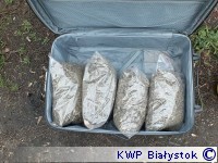 Policjanci CBŚ przejęli blisko 11,5 kg narkotyków