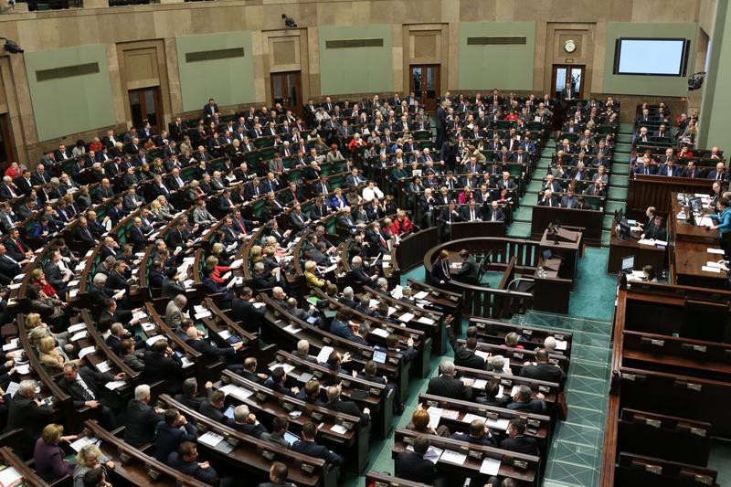 Polityk profesjonalny
