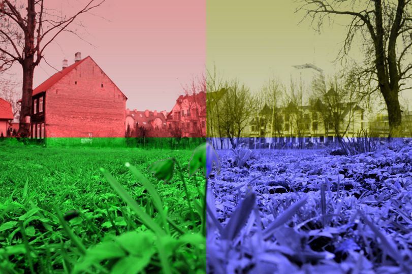 Kulturalna łąka miejska