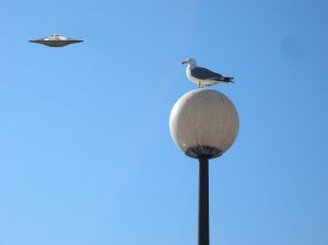 Szukałeś UFO? Byłeś robiony w trąbę!