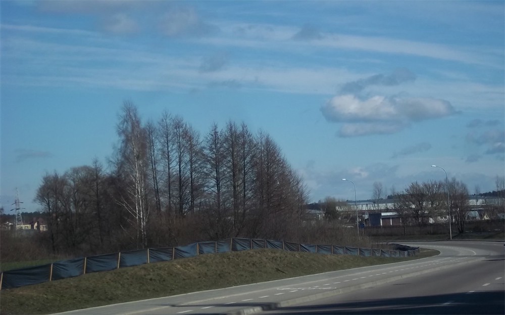 Akcja Płotki – czyli jak Białystok chroni płazy