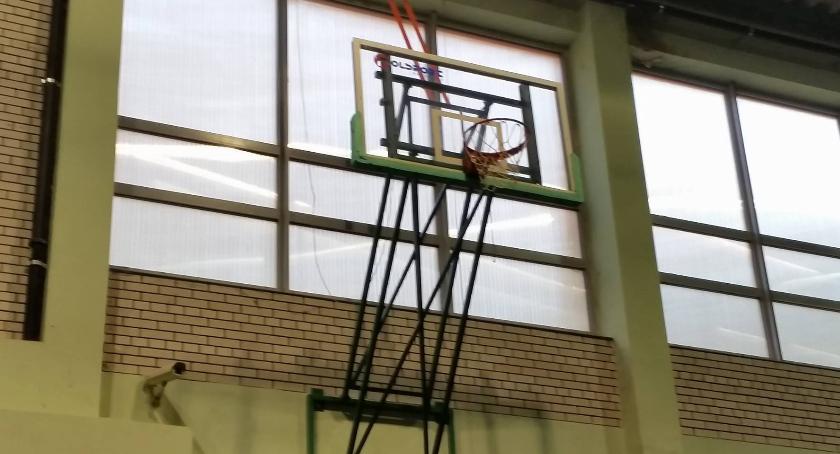 Żubry w kratkę