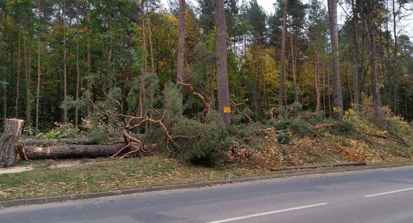 „Ekoterroryzm” jest już poważnym zjawiskiem, także w naszym regionie