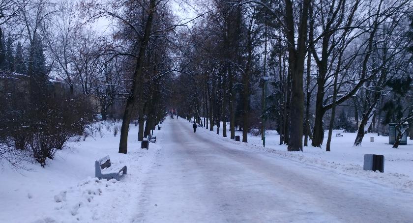 Wraca zima! Białostoczanie szykują się na mrozy i śnieżyce. I raczej nie liczą na miasto i drogowców