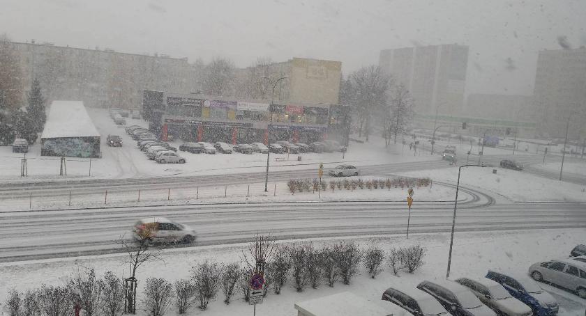 Do końca tygodnia nie będzie śladu po zimie