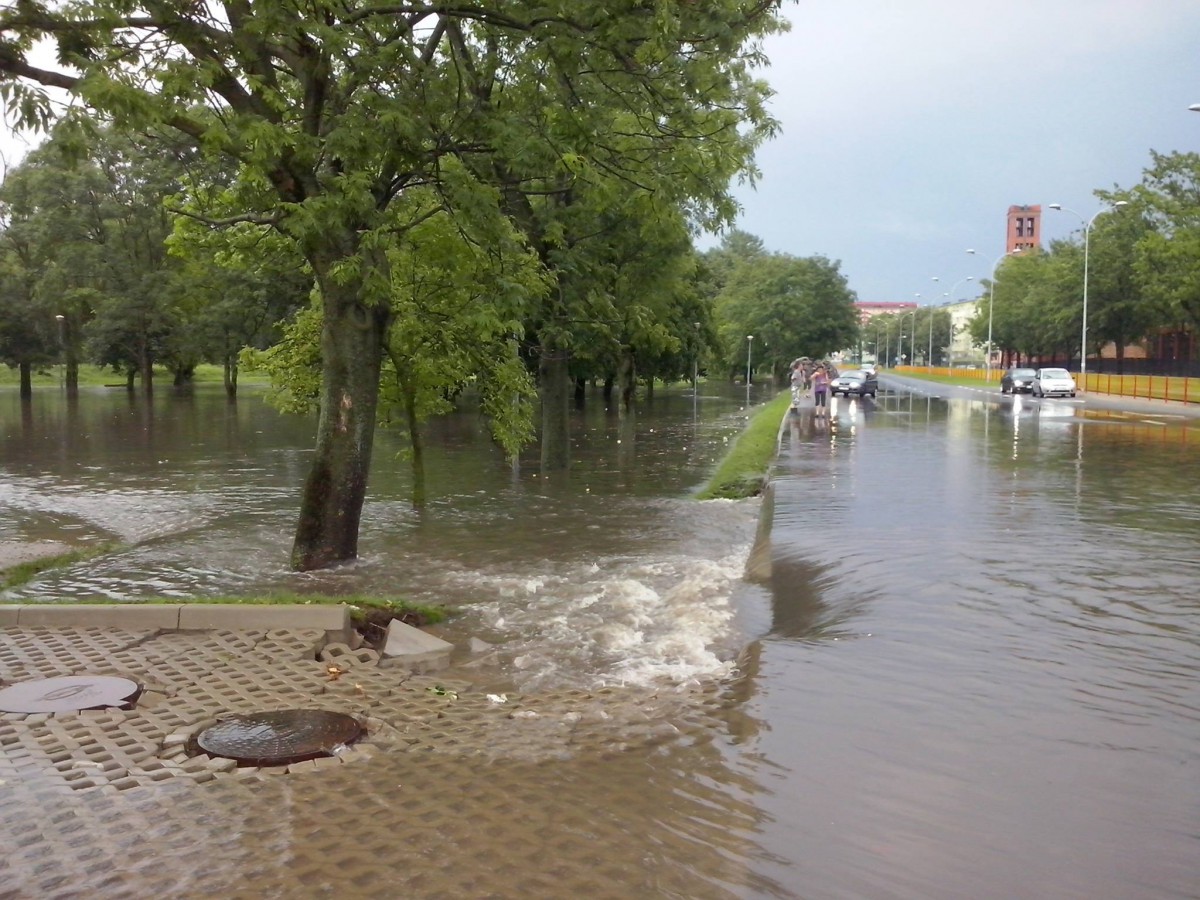 Lecą Wióry: Kiedy pada deszcz Ekscelencja się nudzi
