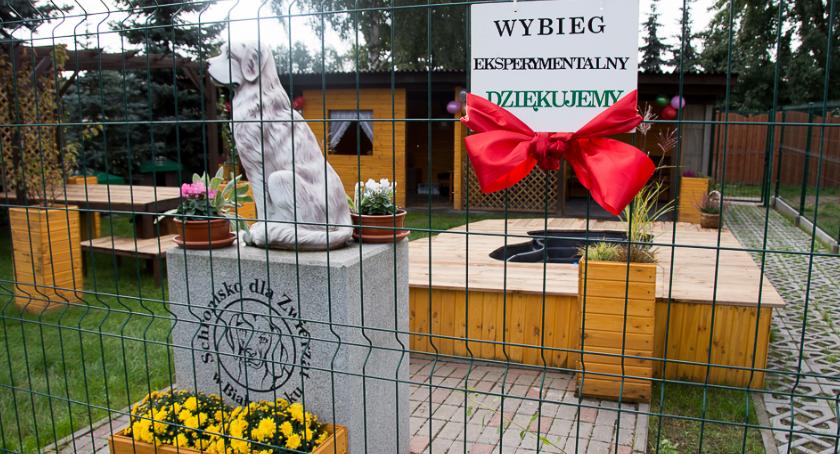 W planach jest budowa nowego schroniska dla zwierząt