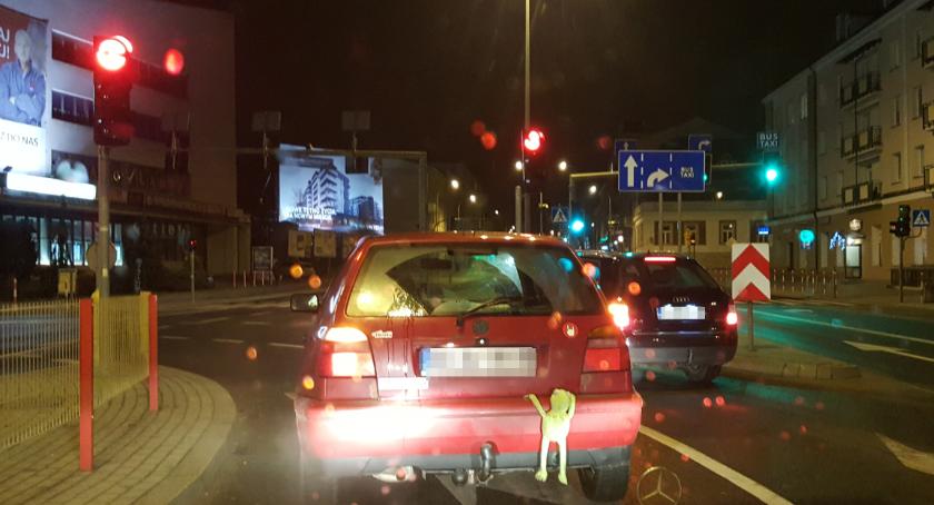 Sygnalizacja oszczędna inaczej