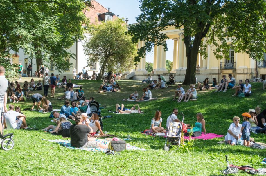 Lepiej uzbroić tereny w lesie niż postawić leżaki?