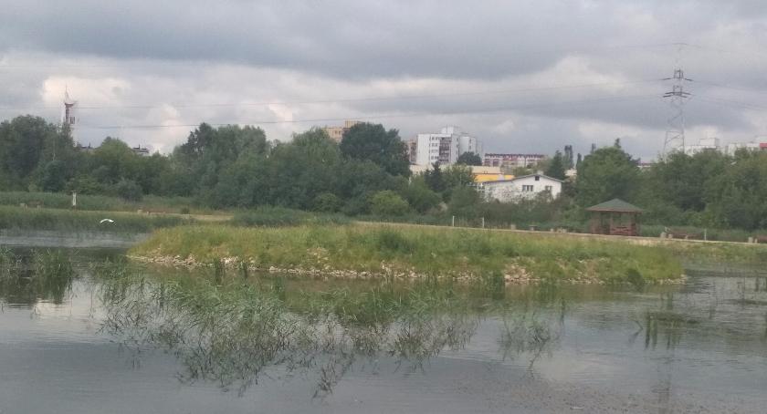 Stawy Marczukowskie wracają do dawnej świetności: pojawią się tam łąki kwietne i setki drzew