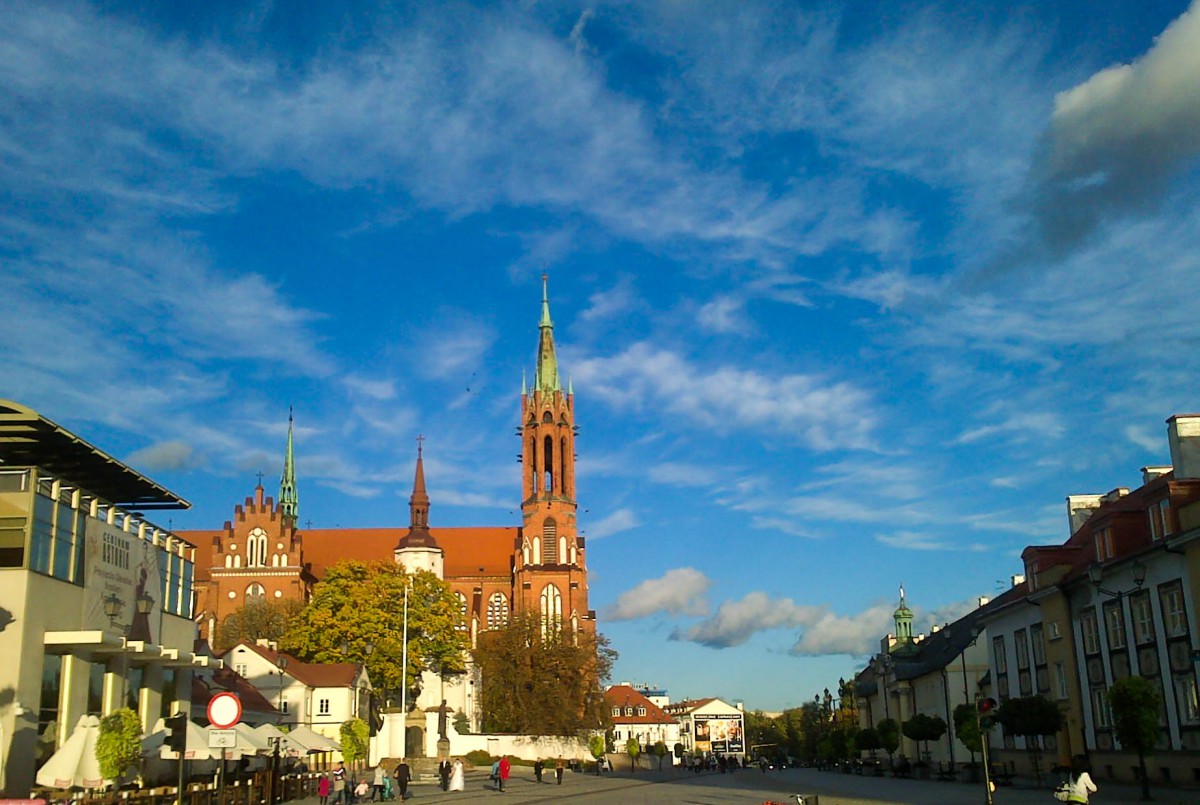 Pierwsze koty za płoty