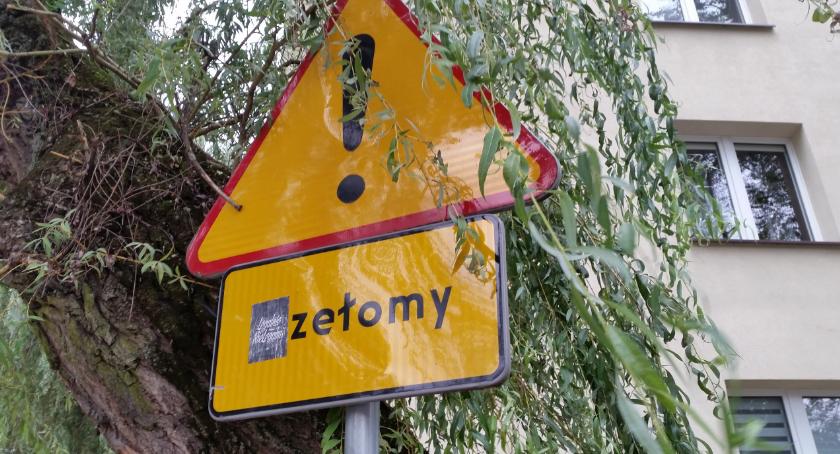 „Daj bo mi się należy!” Ewolucja homo sovieticusa