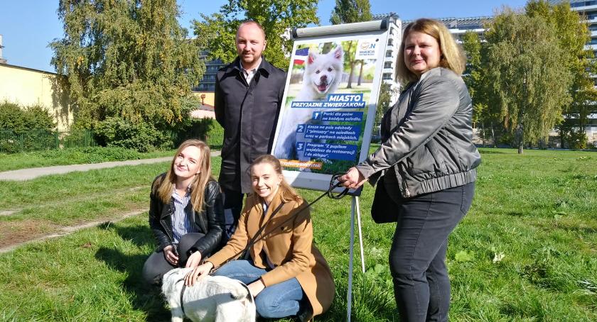 Na terenach zielonych przy Włókienniczej Platforma proponuje psi park