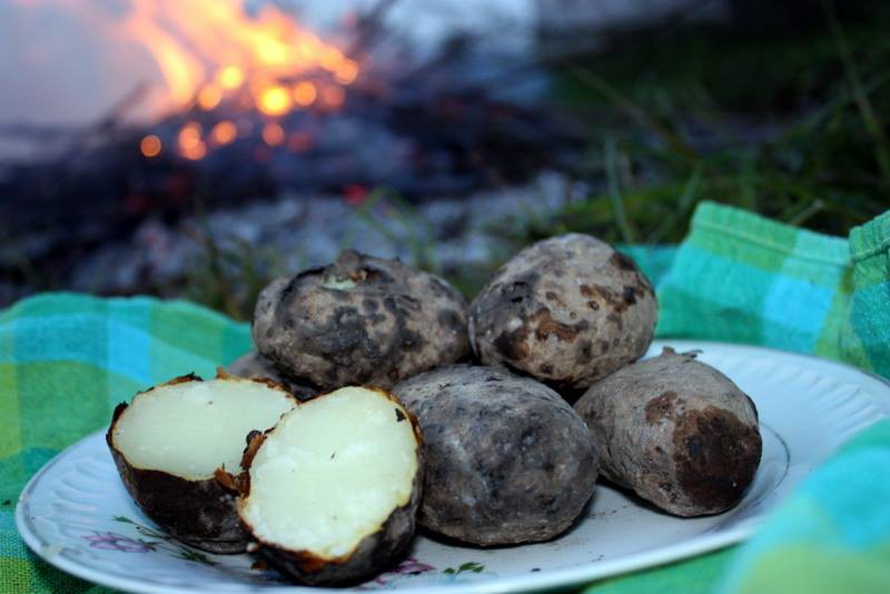 Święto Pieczonego Ziemniaka w Kiermusach