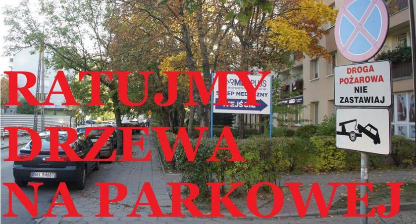 Droga pożarowa, która jest może kosztować życie drzew