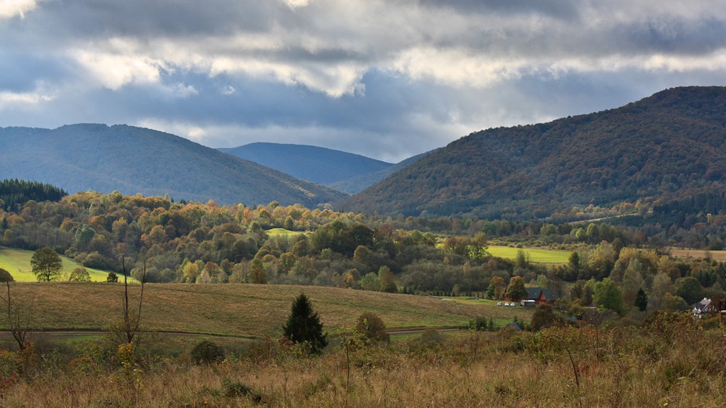Dzikie Bieszczady