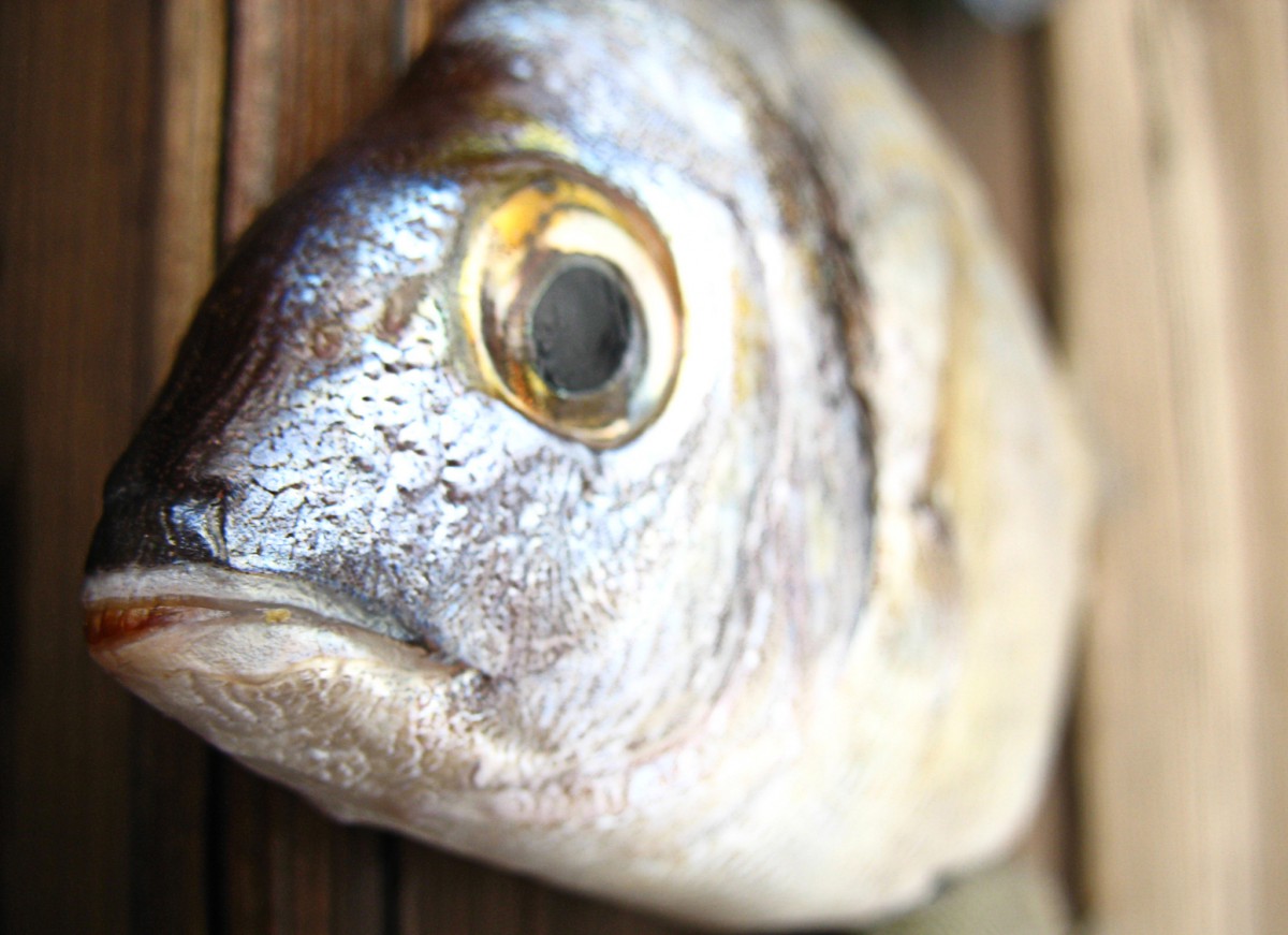 Karp odetchnął z ulgą