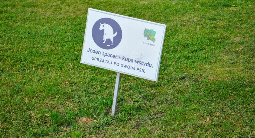 Prawo surowsze dla właścicieli psów