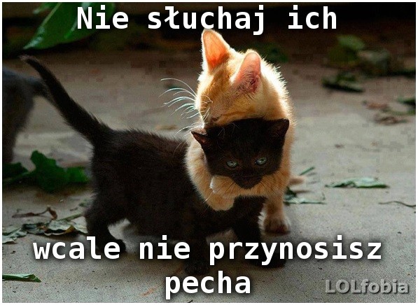Strach nogę z domu wystawiać…