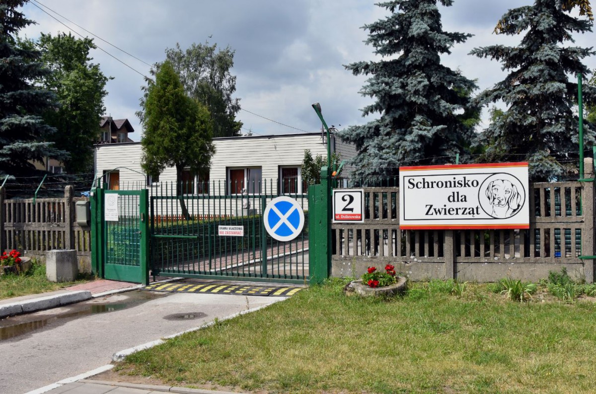 Jesień w schronisku