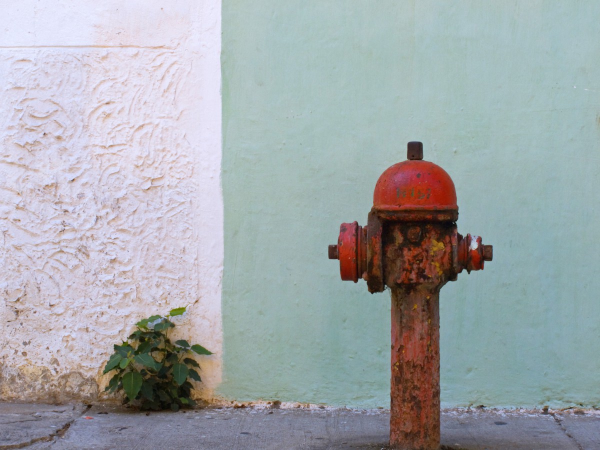 Miłośnik hydrantów