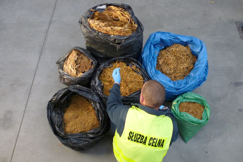 Celnicy na posesji znaleźli kilkadziesiąt kilogramów tytoniu, przechwycili też przemycane papierosy