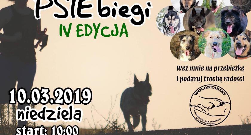 Bierz pupila i zasuwaj na PSIEbiegi