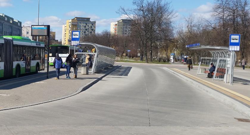 Białystok nie ma zielonych przystanków. Czy będzie je mieć?