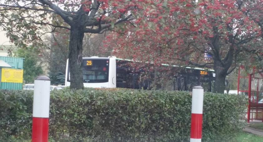 Obywatel Gie Żet: Efekt kobry w białostockim transporcie publicznym cz. II