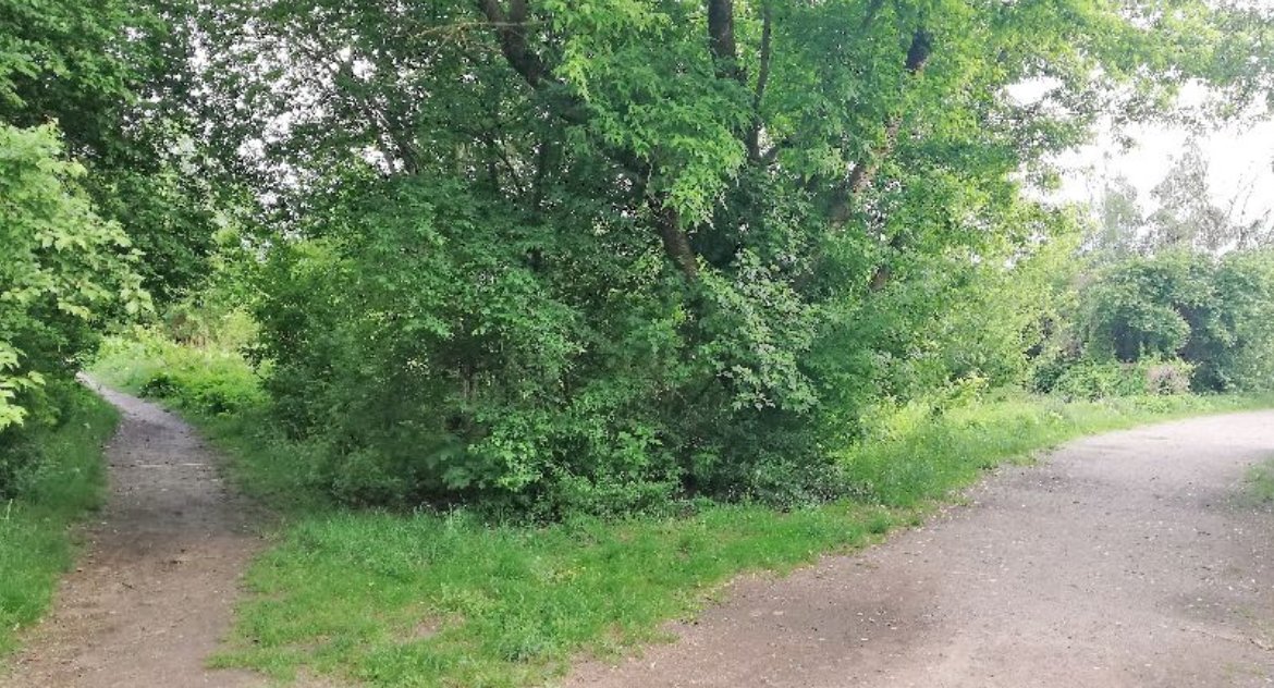 Na łąkach między Sybiraków a Łupaszki grasuje ekshibicjonista
