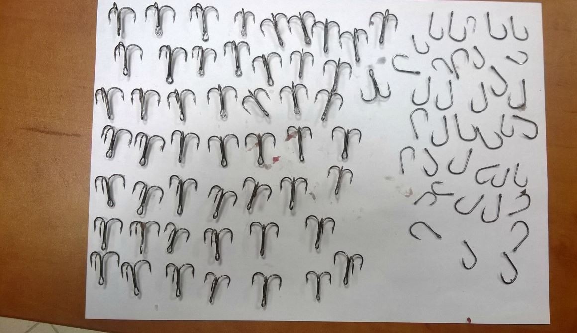 Naszpikował mięso haczykami wędkarskimi i wywiesił na drzewie jako przynętę
