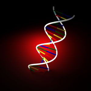Testy DNA ułatwią prawidłowy trening