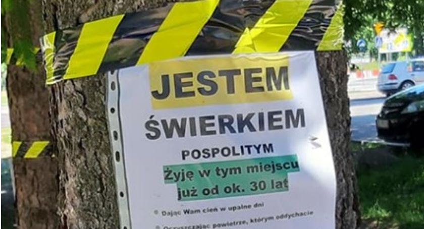 Drzewa przed wycinką same się nie obronią