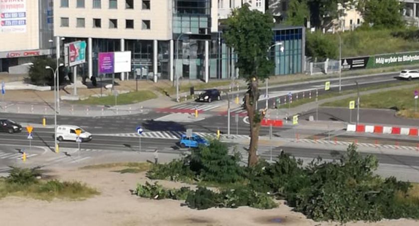 Najpierw zniknął Market ABC, teraz okoliczne drzewa
